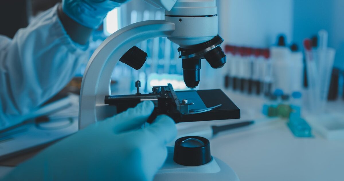 Journal of Virology: ученые из Токио нашли гигантский вирус с уникальной тактикой захвата