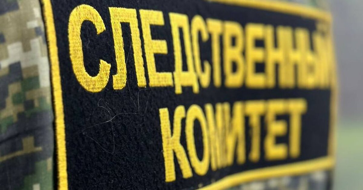 СК Кузбасса проверит блогера, младенец которой громко плачет во время стримов